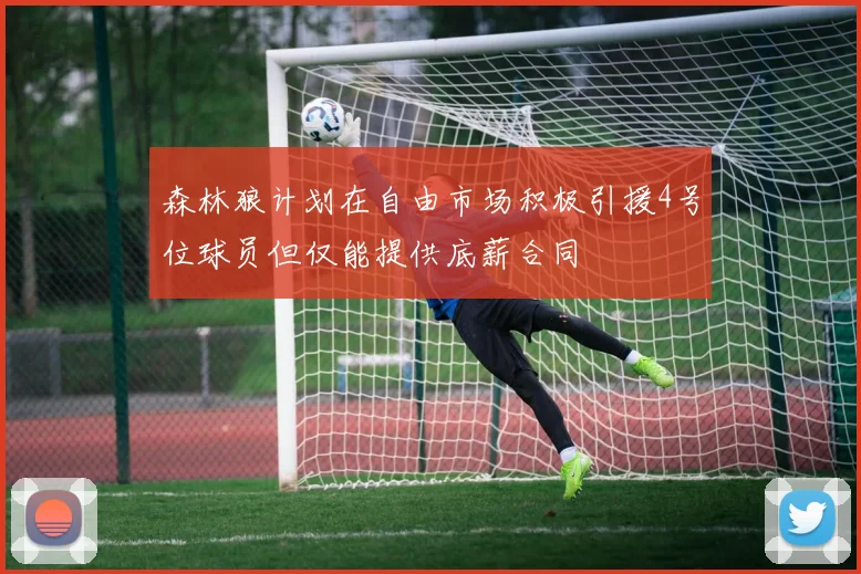 森林狼计划在自由市场积极引援4号位球员但仅能提供底薪合同