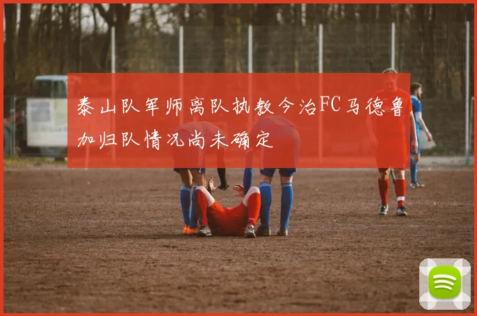 泰山队军师离队执教今治FC马德鲁加归队情况尚未确定