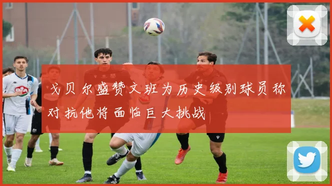戈贝尔盛赞文班为历史级别球员称对抗他将面临巨大挑战